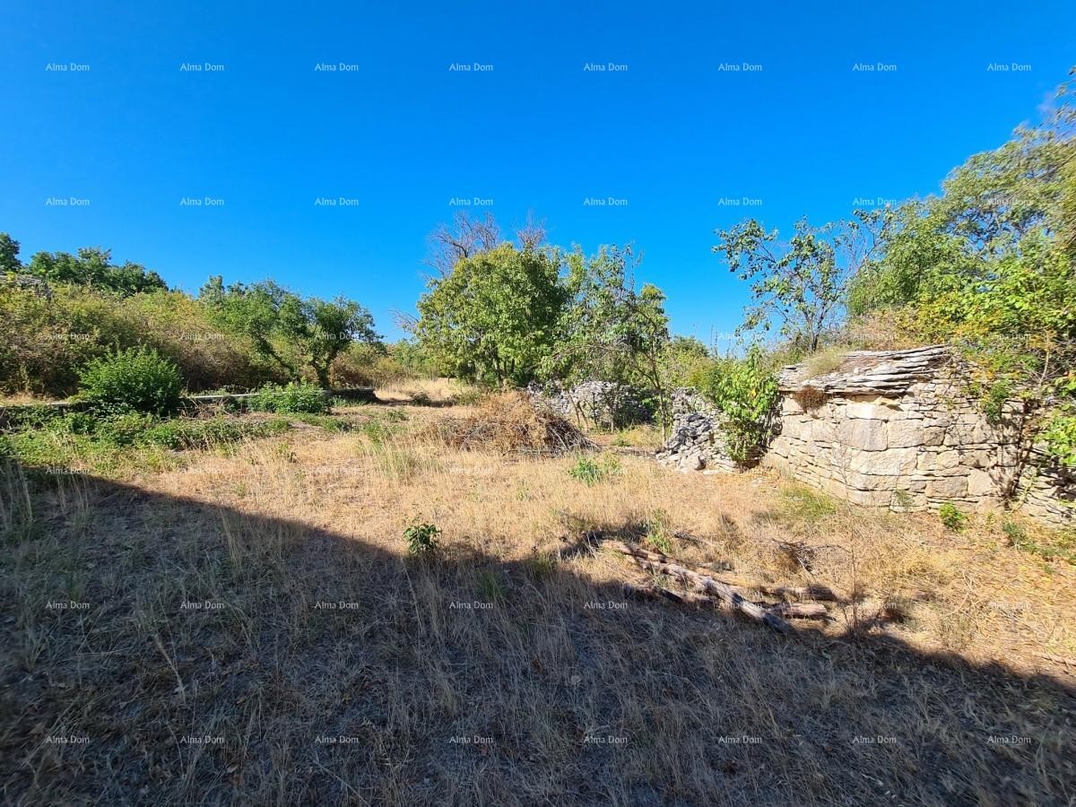 Усадьба возле Водняна! Большой участок 7154 м2!! 7