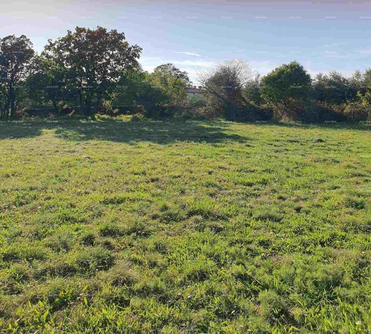 Эемля Marčana 4