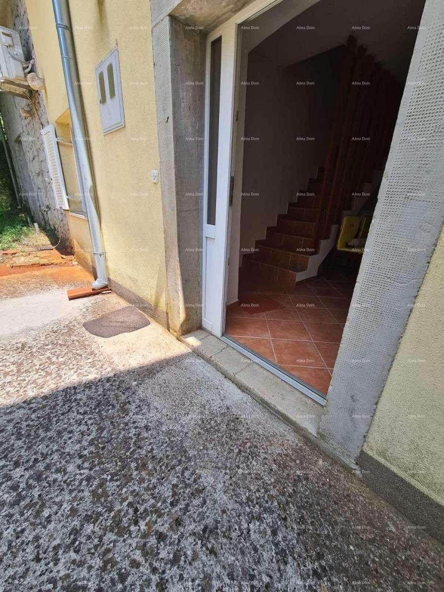 A house with a yard and a large plot of land for sale, Barban 21
