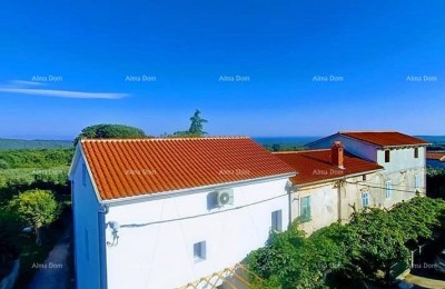 Renovated Istrian house for sale, Valtura