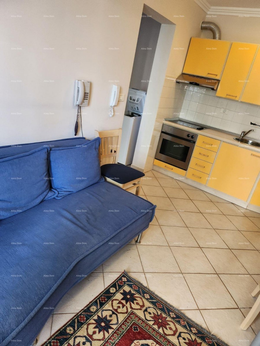 Савудрия, апартамент 38 м² с видом на море 5