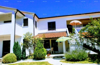 We are selling a house in Vižinada