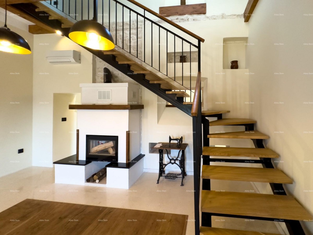 Редкость на рынке!   Istra  Barban 17