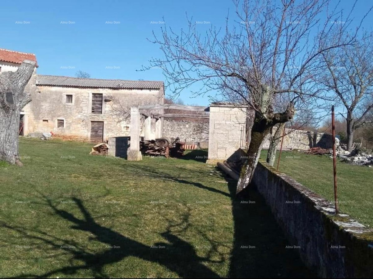 Pazin, Istra - dve stare kamnite hiše z veliko zemljišče 1