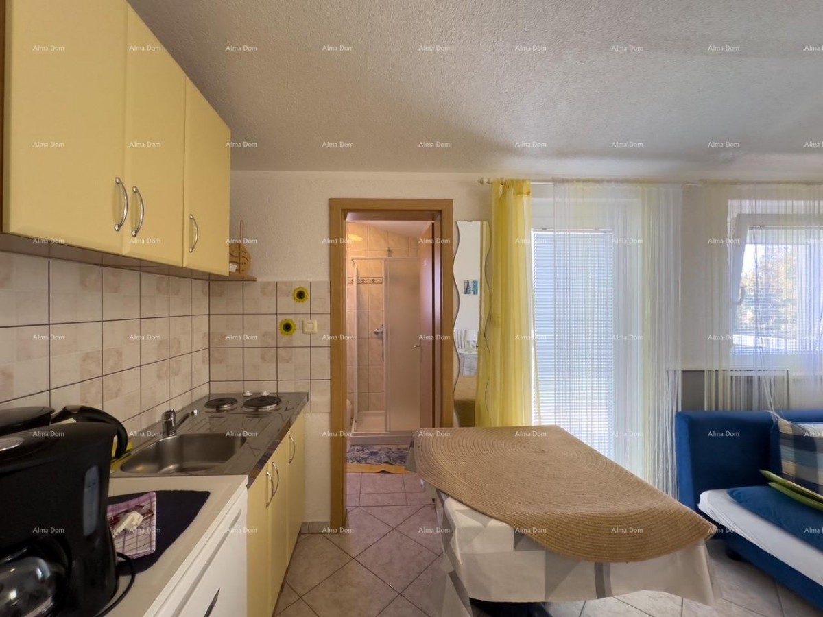 MEDULIN! STUDIO APARTMENT. CLOSE TO HOTEL BELVEDERE. 6
