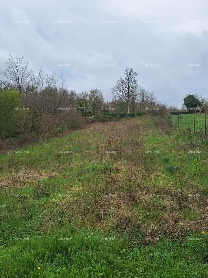 Construction and agricultural land for sale, near Žminj 1