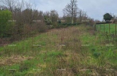 Prodaje se građevinsko i poljoprivredno zemljiste, blizu Žminja