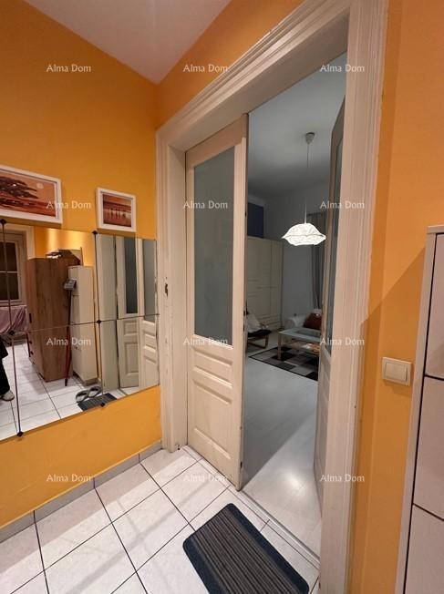 Пула – квартира с 3 апартаментами! 9