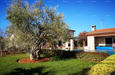 Красивый дом с большим бассейном