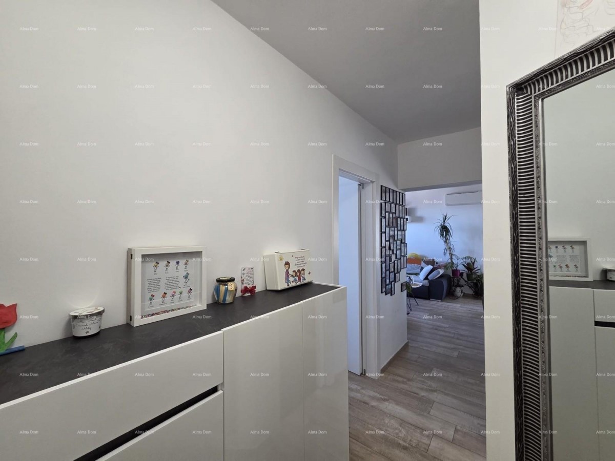 PULA, VIDIKOVAC, RENOVIRAN STAN 52 m² 14