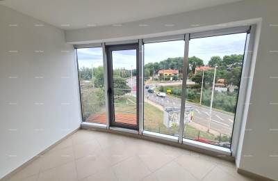 Blizina centra .  Istra. Pula. Veli vrh.