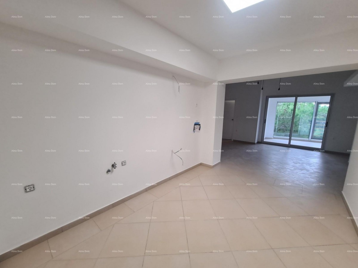 Istra. Pula. Veli vrh. 4