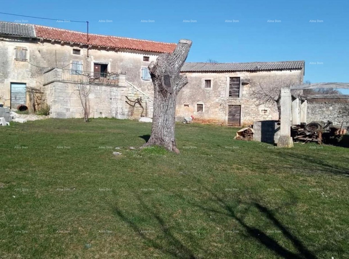 Pazin, Istria - due vecchie case in pietra con ampio terreno 1