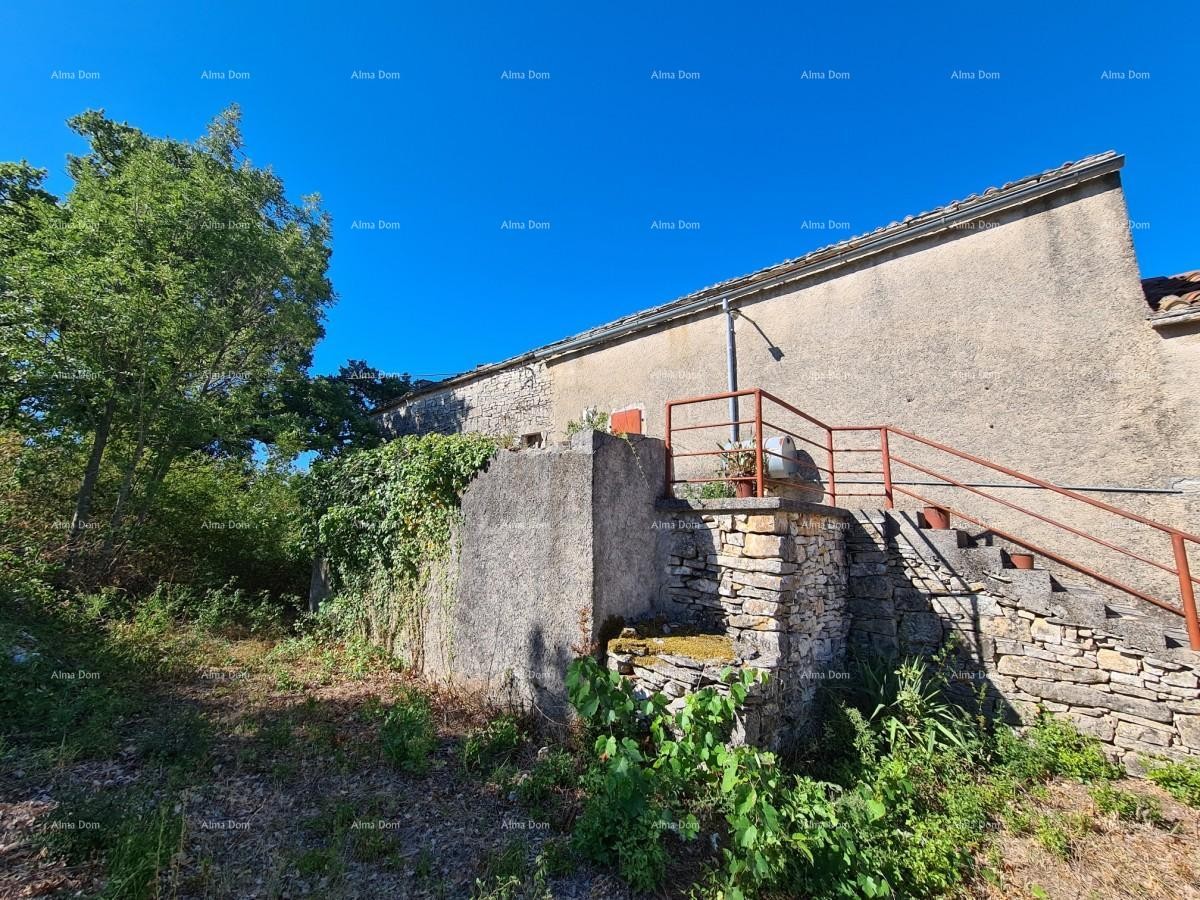 Станция под Водняном! Большой участок 6390 м²!! 4