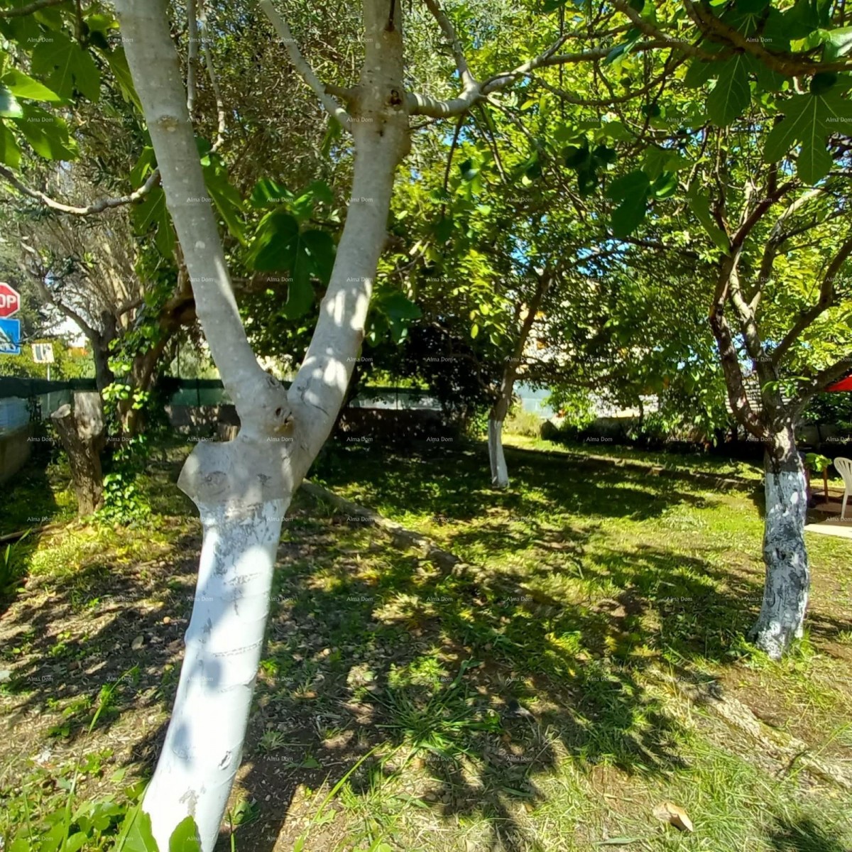 Пула Продается одноэтажный дом с большим садом и террасой 19