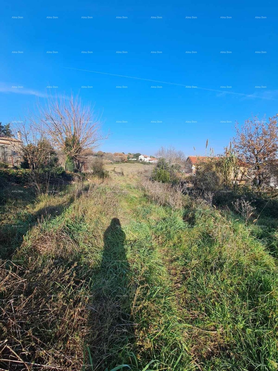Građevinsko zemljišče Vintijan – 800 m2 – ob cesti 2