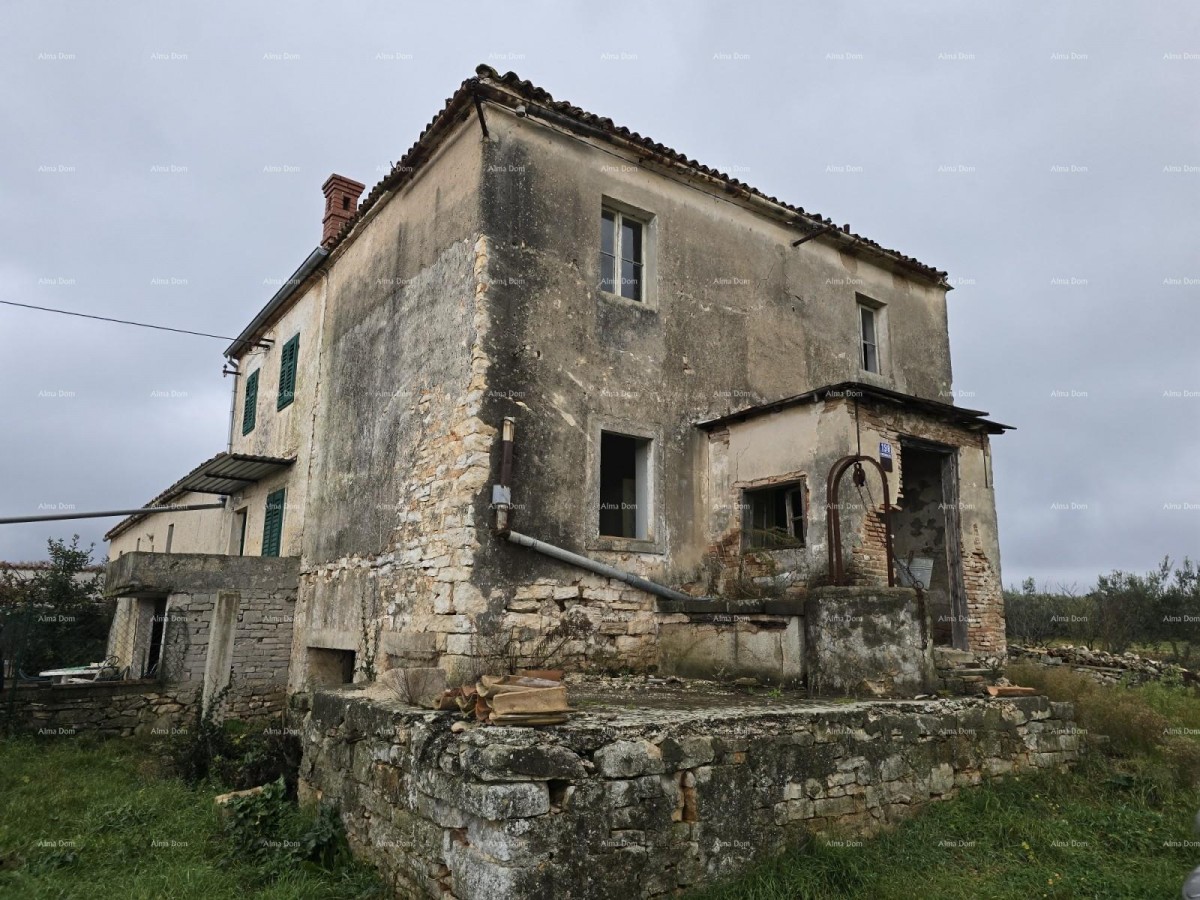 Galižana – kamena hiša z gradbenim zemljiščem in šterno 6