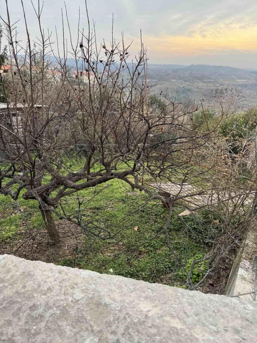 Prodamo hišo z dvoriščem v neposredni bližini centra, Buje! 26