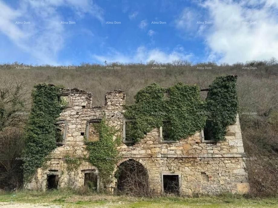 Kamena starina s velikim zemljištem – Buzet 3