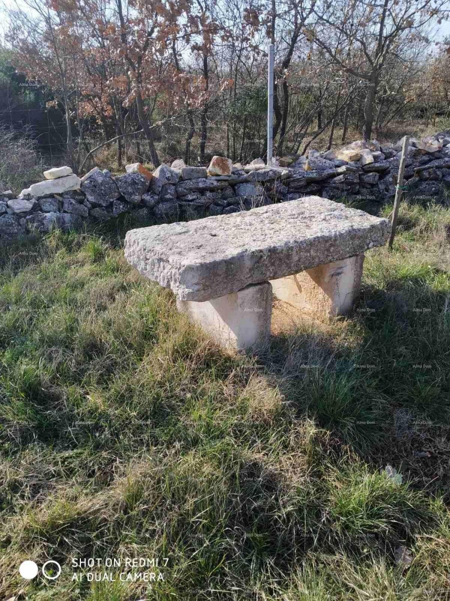 House Svetvinčenat 8