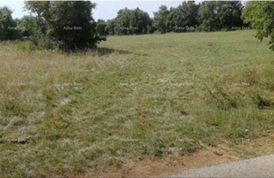 Продажа земли под застройку и сельскохозяйственного назначения, Жминь