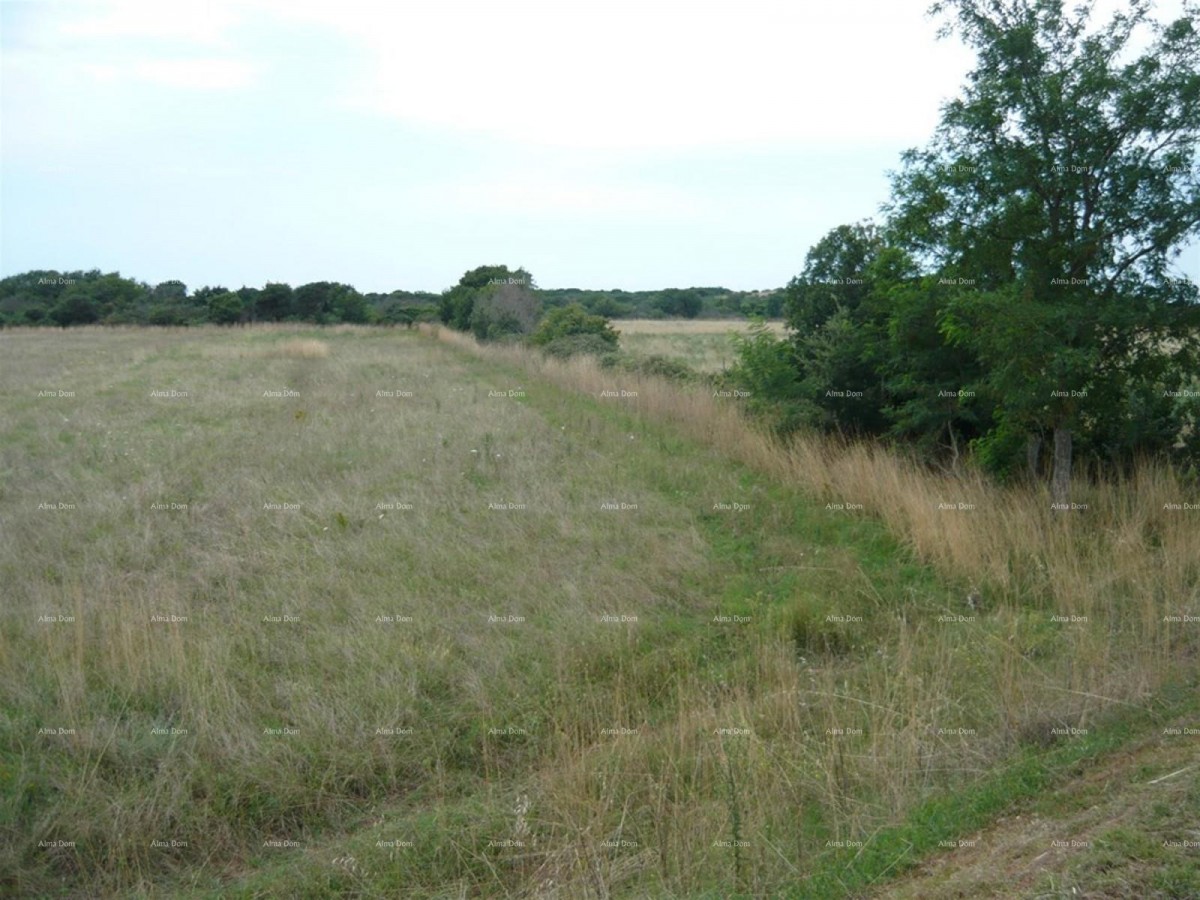 Jadreški, Agricultural Land for Sale, Area of 21,870 m² 1