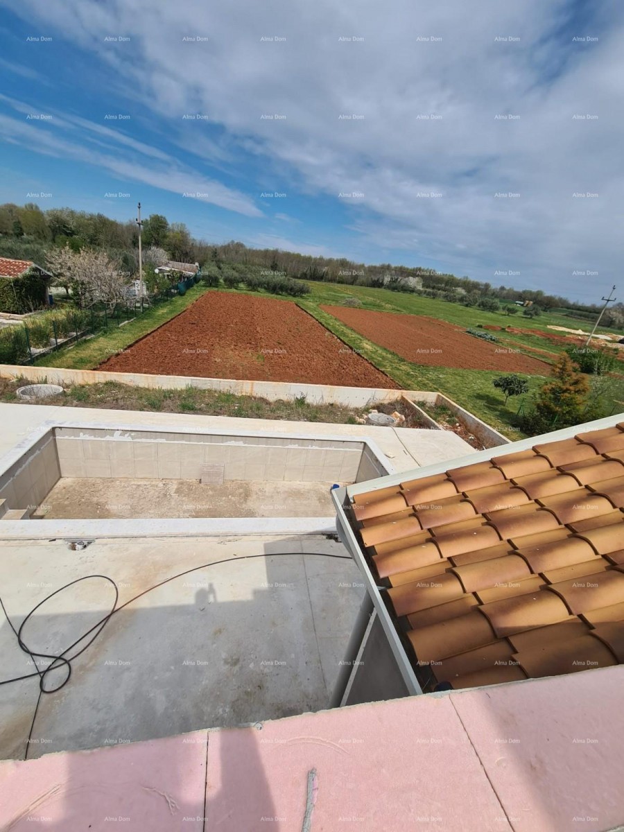 Elegante villa in un ambiente tranquillo vicino al mare con vista su vigneti e uliveti 6