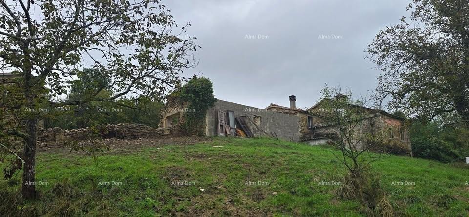 Veliko imanje s kućom i građevinskim zemljištem, okolica Buzeta 1
