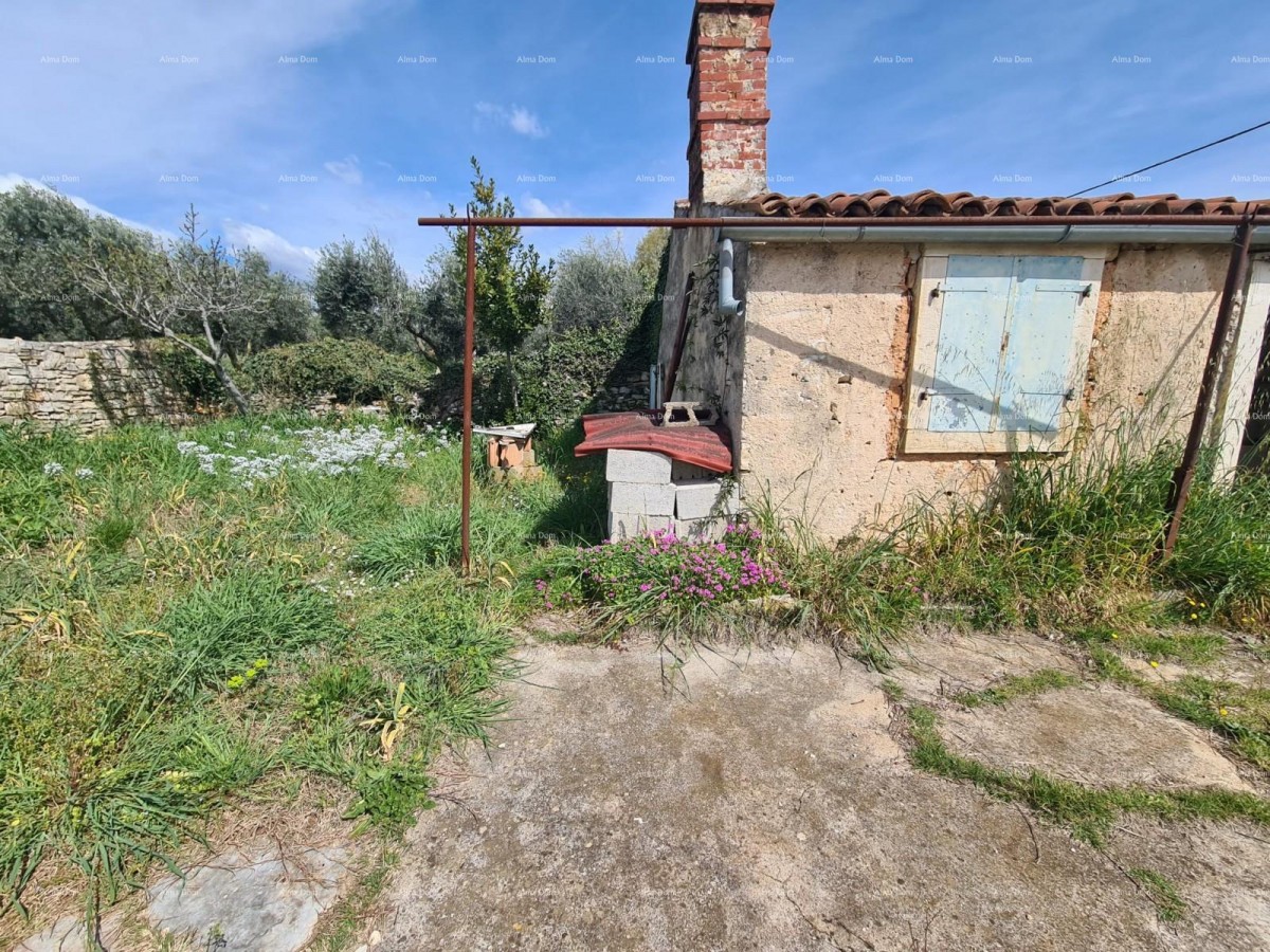 GALIŽANA – hiša z več stavbami in velikim potencialom za prenovo 26