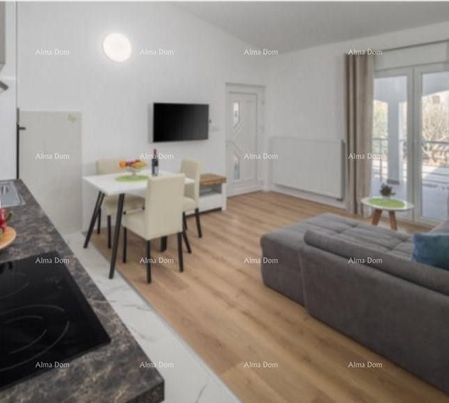 POREČ, Samostoječa hiša s bazenom in 5 stanovanjskimi enotami 12