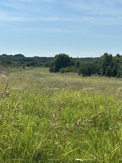 Building land for sale, 5832m2, Barban 6