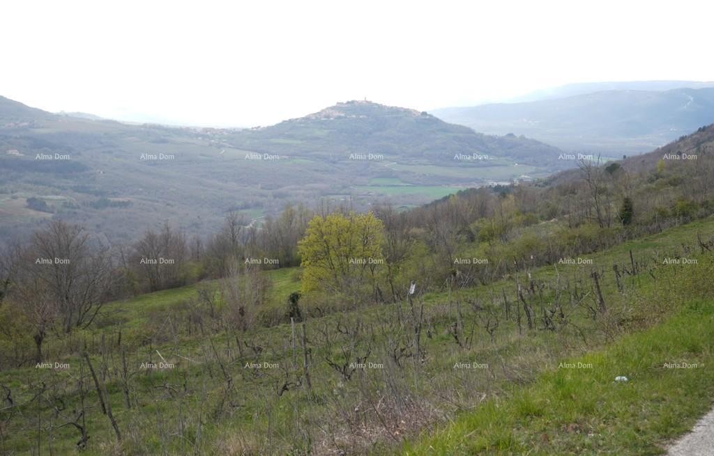 Plot Pazin 1