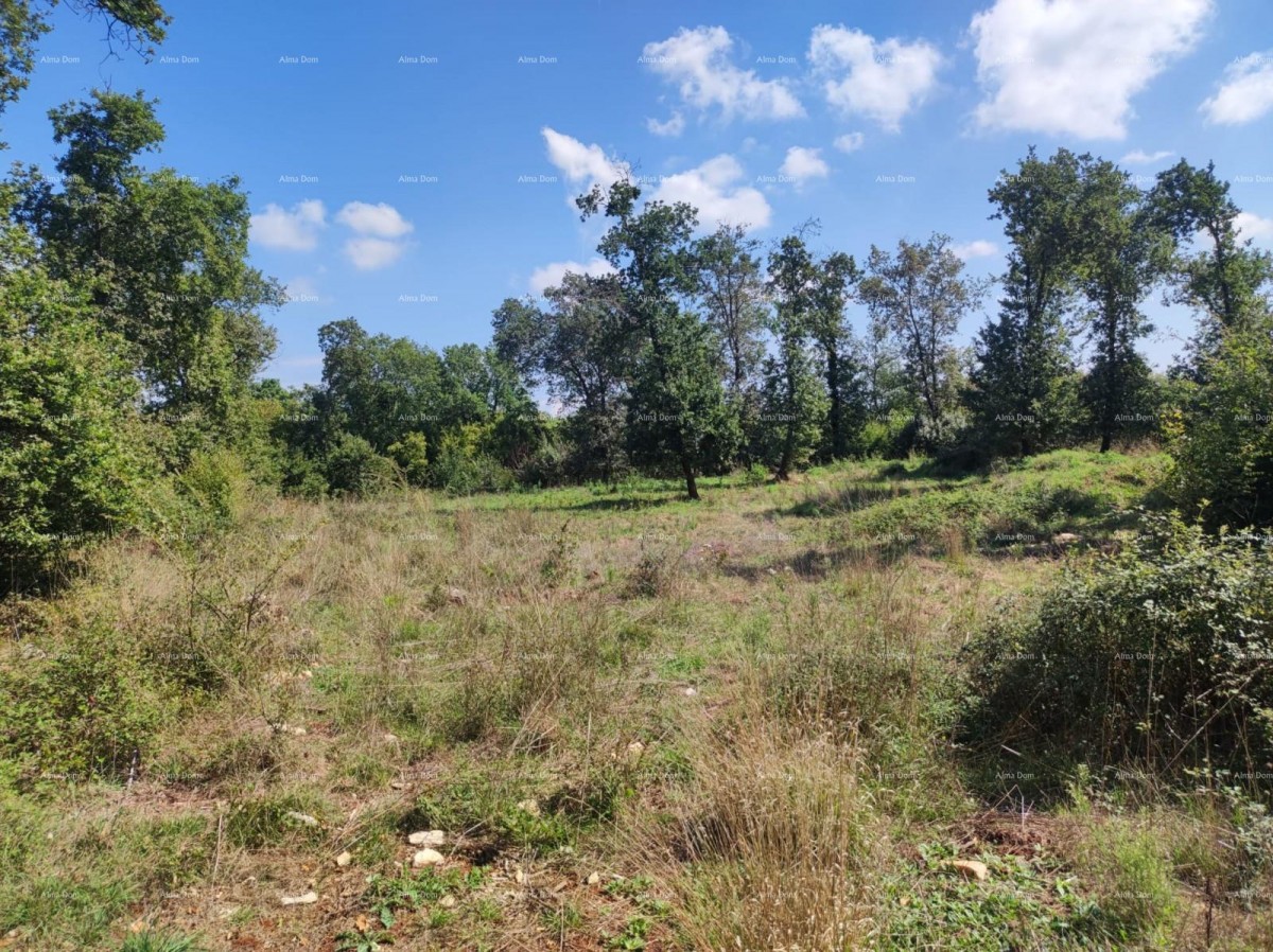 Sale - AGRICULTURAL land, Pula, Valtura! 4