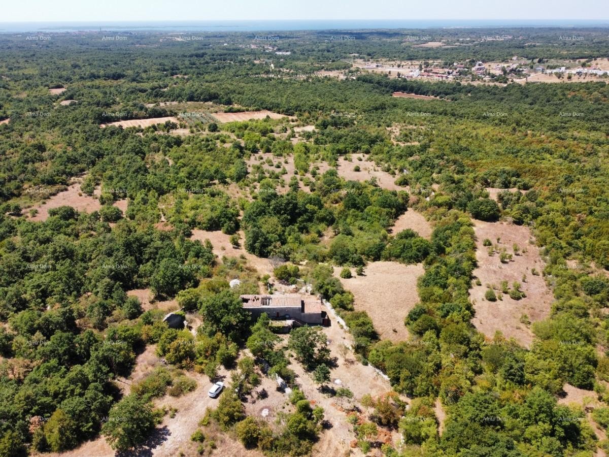 Станция под Водняном! Большой участок 6390 м²!! 20