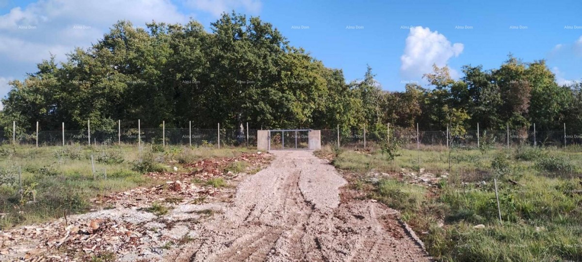 Prodamo veliko gradbeno zemljišče s projektom za gradnjo vile, Svetvinčenat 2