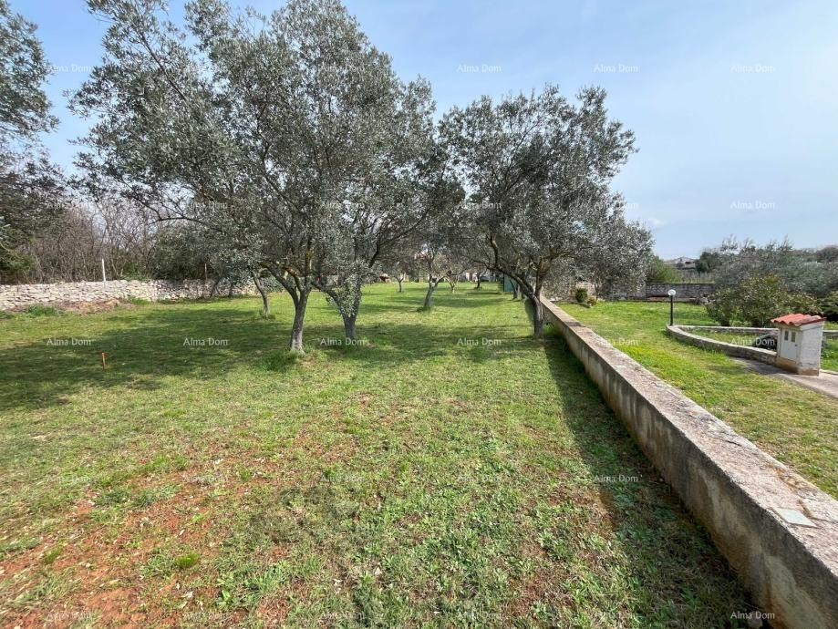 Peroj, građevinsko zemljište površine 1336 m² 4