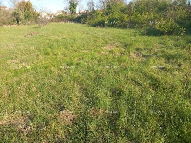 Building plot with a project! 1