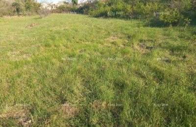 Building plot with a project!