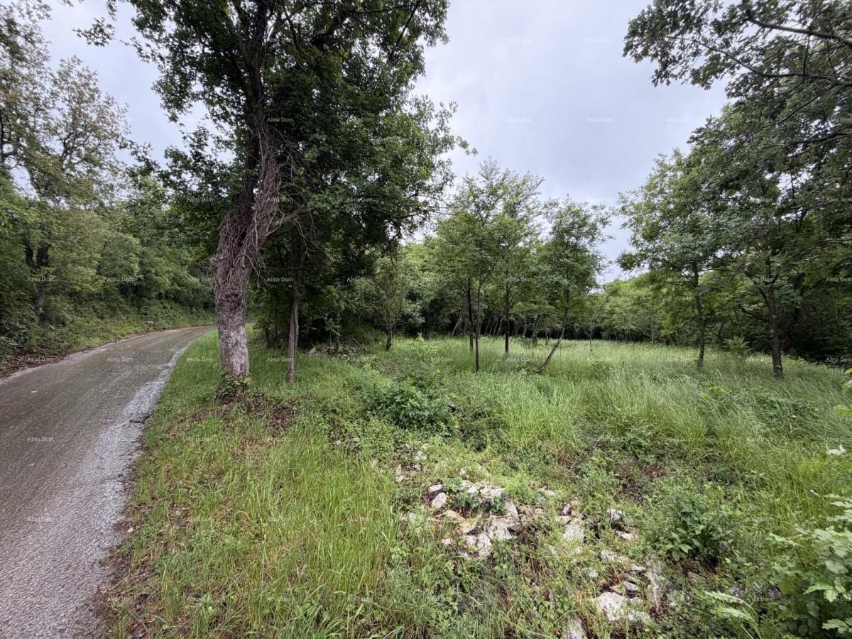 Buje – građevinsko zemljište 1.086 m² s pogledom na more 4