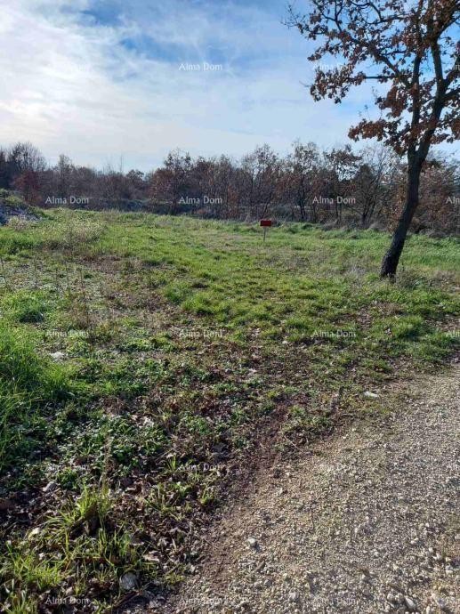 Эемля Kanfanar 6