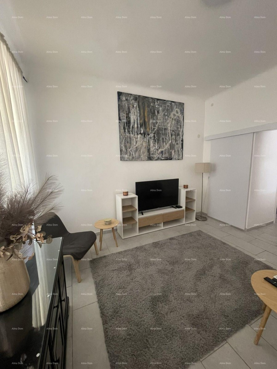Furnished apartment 45 m2 on the ground floor in the center of Pula 4