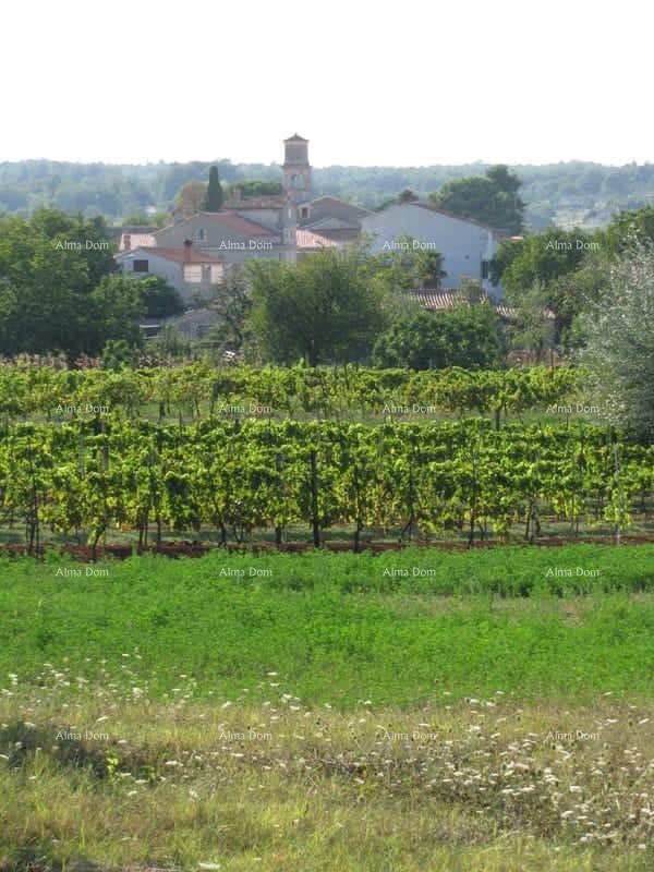 БАРБАН - Продаётся участок под застройку, 1329 м2 / 300 м от центра 7