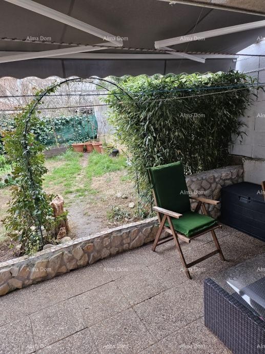 PRODAJA DVA STANA V PRIZIDJU HIŠE Z VRTOM 2