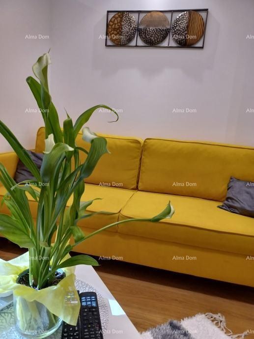 Pula, 2-bedroom apartment in the center, 31 m² + terrace and garden 7