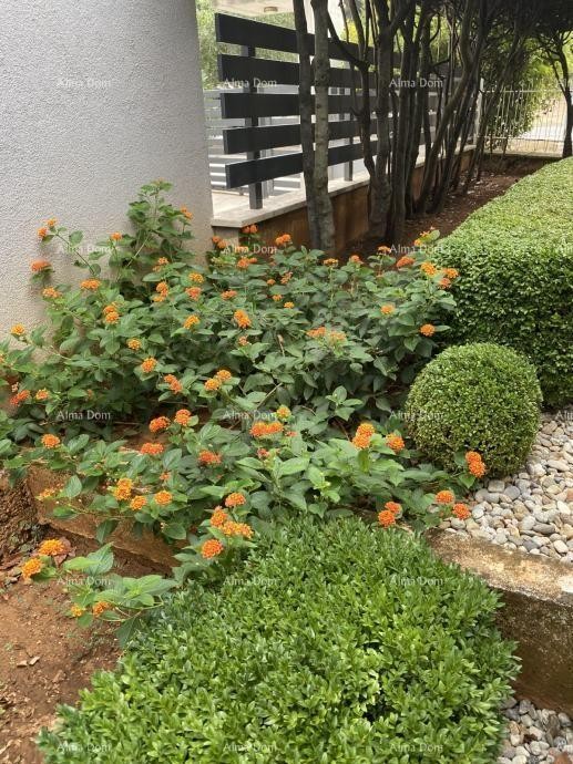 Pula – Hiša z dvema stanovanjski enotama, 50 m od morja 7