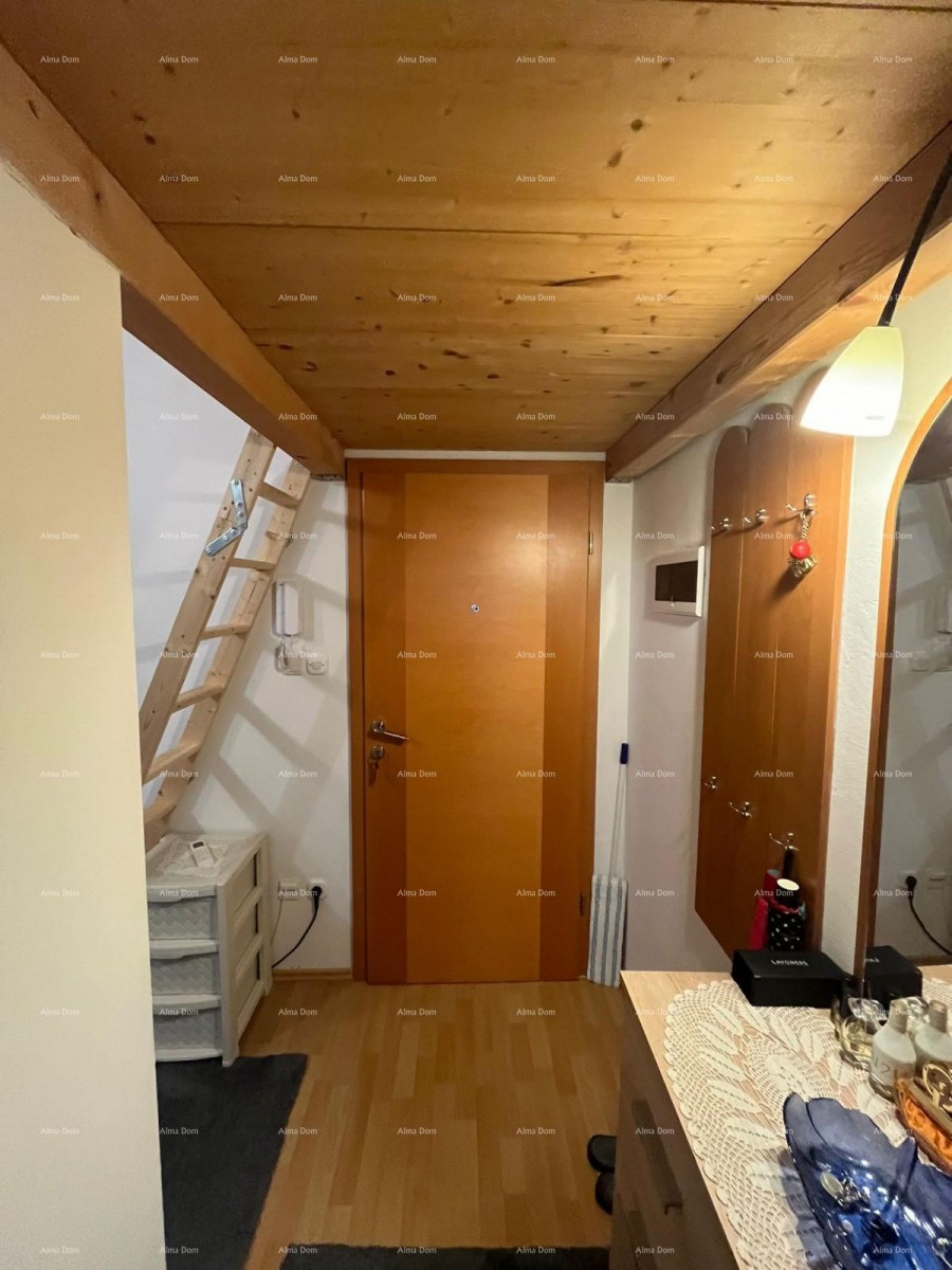 Lep, funkcionalen stan v mirnem delu Medulina 9