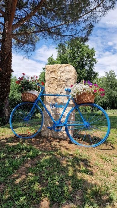 Sveti Lovreč, Čudovita kamnita vila z veliko parcelo 13