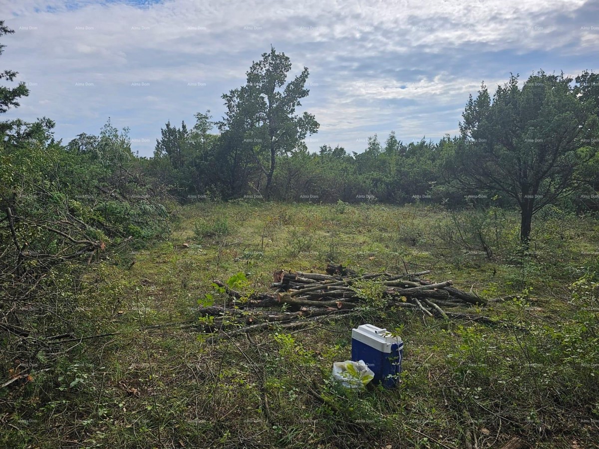 Građevinsko i poljoprivredno zemljište u blizini Svetvinčenata: 11100 m² za vašu investiciju 2