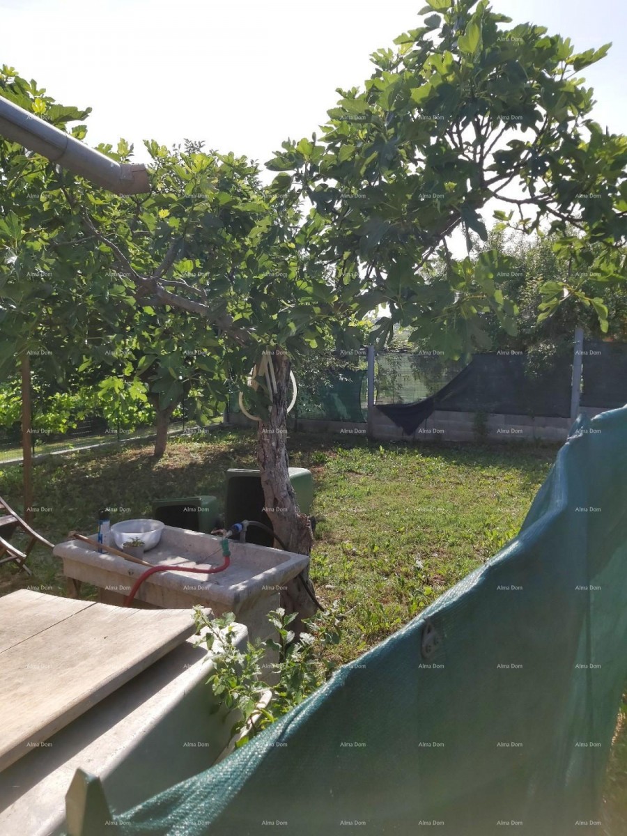 Na prodaj je hiša s kletjo, veliko teraso, dvema trisobnima stanoma in dvoriščem. Odlična priložnost za naložbo! 1