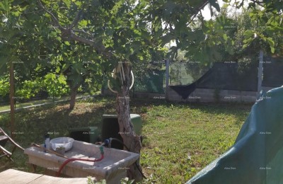 For sale: House with a cellar, large terrace, two three-bedroom apartments, and a yard. Excellent investment opportunity!